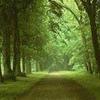 Landscape4