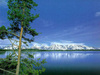 Nature (9)